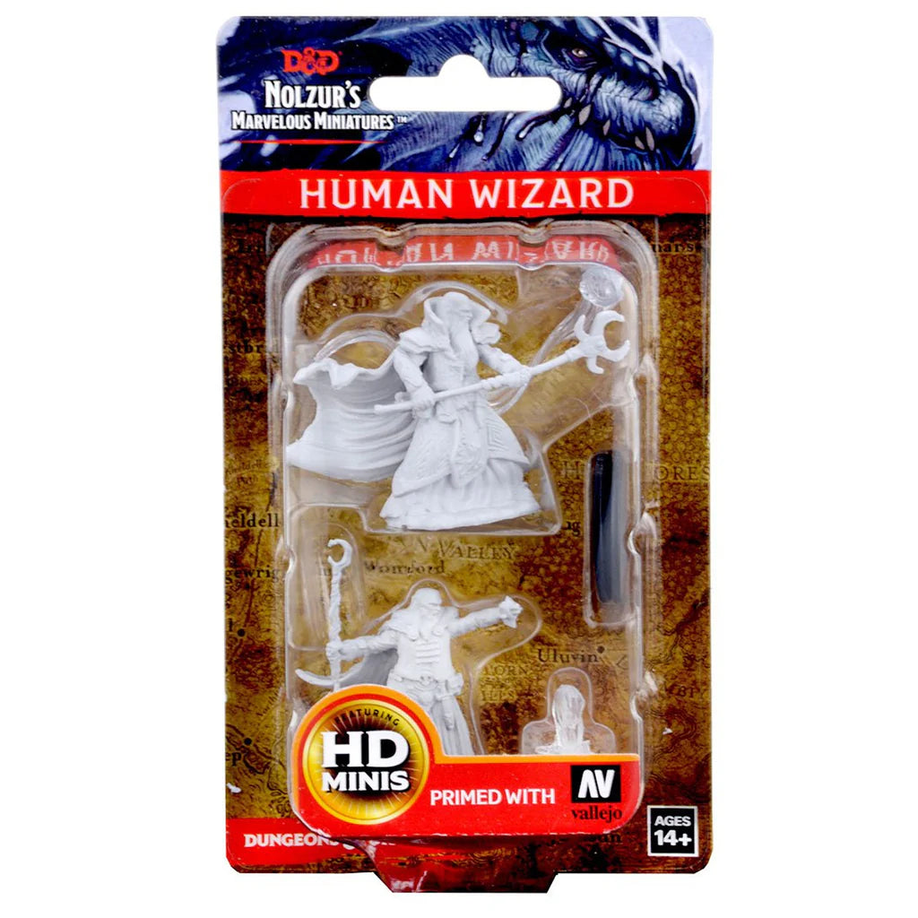 Wizkids - Wave 13 - Human Wizard Male